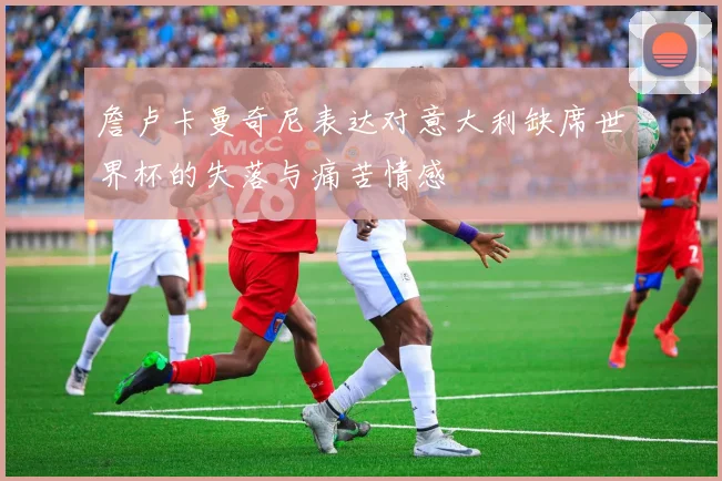 詹卢卡曼奇尼表达对意大利缺席世界杯的失落与痛苦情感