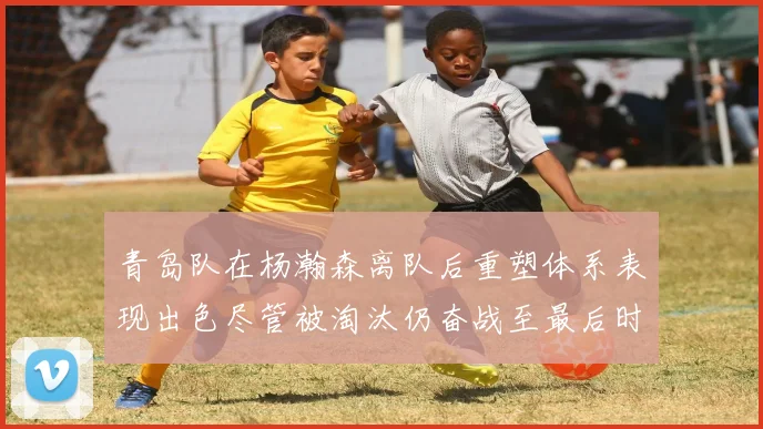 青岛队在杨瀚森离队后重塑体系表现出色尽管被淘汰仍奋战至最后时刻